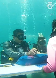 Couple get married in underwater ceremony | Crafty Chronicles