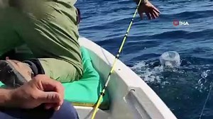 Olta misinasına takılan Caretta Caretta'nın yaşam savaşı | Yüzme, Amatör Balıkçı, Dalama, Amatör, Hayvan