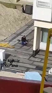 5.3K views · 299 reactions | Bez obzira kako se osjećate. Ustanite, uzmite abdest, i nikad ne odustajte. Vodite svoje srce na namaz i jednog dana, vaše srce će vas odvesti na namaz. Bilal Philips | Ajeti iz Kur'ana | Facebook