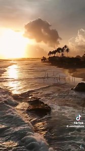  Welcome to Ceylon Travellers Club – Your Gateway to Sri Lanka! ...