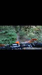 Exploring Singletrack Trails with KTM XC300 | Bear Encounter