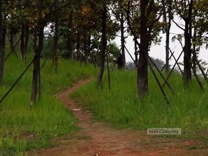 17K views · 139 reactions | Solo camping in a blizzard woods #bushcraft #build #camp #camping #survival #shelter #wildlife #Outdoors #outdoor #viral #fyp #foryou | Beulah Land SDA Church | Facebook