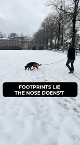 11K views · 161 reactions | Tracking in the snow – good or bad? If...