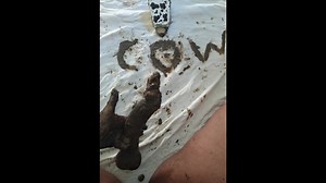 Black Female Pooping