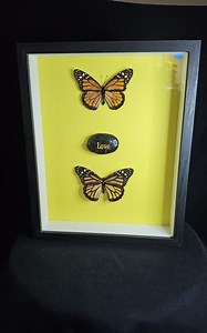 Double Monarch Butterfly With Love Stone in Shadow Box Frame - Etsy Canada