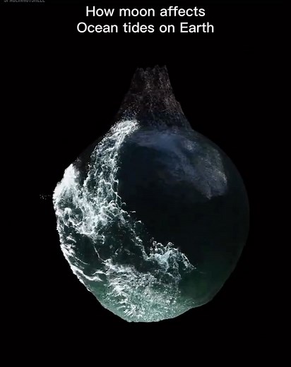 3.2K views · 11 reactions | This graphical representation (not to the scale) shows the Moon and Earth exert a gravitational pull on each other. On Earth, the Moon’s gravitational pull causes the oceans to bulge out on both the side closest to the Moon and the side farthest from the Moon. These bulges create high tides. The low points are where low tides occur. Repost via - @spaceinnutshell #cutacut #earth #space | Cutacut | Facebook