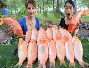 50K views · 2.7K reactions | Natural Life TV on Reels | Facebook