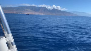 Whale song! So wonderful. Video by Captain Jack. | Captain Steve's Rafting Adventures