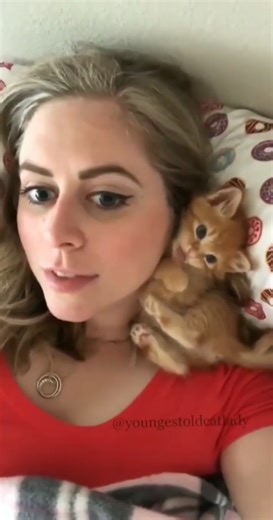 Follow for more Cats reels #cats | Crazy Cat Shop