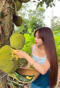 1.6M views · 19K reactions | Beautiful Natural Garden With Natural Life | Rumah Kebun Organik | Facebook