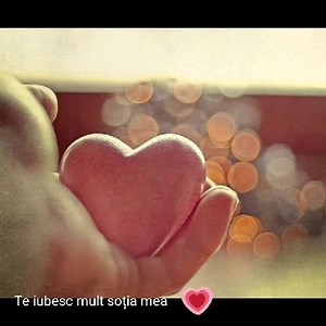 527K views · 7.1K reactions | La mulți ani draga mea soție.Îti multumesc că esti lângă mine și îmi oferi dragostea ta.Nu am să va dezamagesc niciodata.Voi rămâne acelaș soț si tată ca și acum. | Te iubesc mult România | Facebook