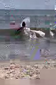 2.5K views · 51 reactions | Dewey Beach glass. Timmy Gamboa laying it down on a couple with his unique flavor.  @unitedskimtour #eastcoastskimboarders #eastcoast #eastcoastskim #eastcoastskimboards @exileskimboards #exileskimboards #skimboards #skimboarding | East Coast Skimboards | Facebook