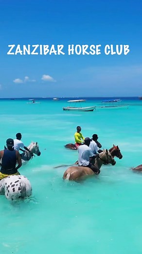 279K views · 183 comments | Explore Zanzibar |  @dronezanzibar >>...