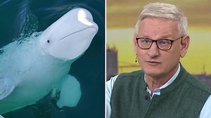 Carl Bildt: ”Ge Hvaldimir politisk asyl”