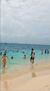 Sargassum seaweed invades the Caribbean #sargassum #seaweed #islandlife