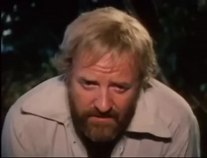 Swiss Family Robinson Series