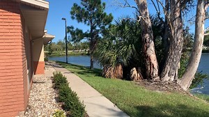 Chanute Complex shuttle service | ERAU Daytona Beach Housing and Residence Life