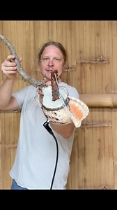 61 reactions · 19 shares | Triton shell Ngoni. Synthetic drum skin, wild shed antler, vintage triton shell #ngoni #shellharp #rootflute #handmadeinstruments | Daniel Hansen | Facebook