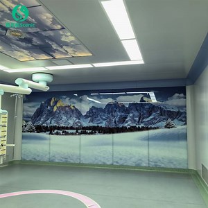 [Hot Item] Advanced Modular Surgical Rooms for Thoracic, Urological, and Orthopedic Procedures