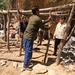 9.8K views · 748 reactions | skillful at building wooden shed - nomadic camp. | Family Cooking | Facebook