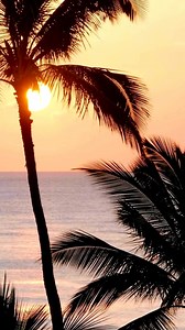 Another full year of spectacular sunsets has just begun. Won't you join us in 2025 to experience this beauty in person? | Waikoloa Beach Marriott Resort & Spa