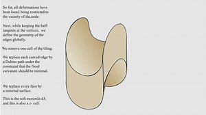 60K views · 531 reactions | Say hello to soft cells. Nature hates sharp corners. It prefers curved edges and non-flat faces. Now mathematicians have cottoned on. Watch Gábor Domokos' brilliant public lecture on the soft cell. Tomorrow, Thursday 22 May, 5pm and any time after: https://youtu.be/e7b5pAudnKs | Oxford Mathematics | Facebook