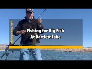 Fishing for Big Fish at Bartlett Lake