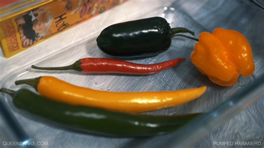 RT @QueenSnake_BDSM: Pumped Habanero - https://t.co/okZe1TyW51