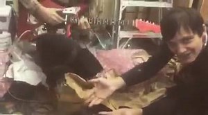 WAVERFORMER DESTROYER SOUND SAMPLE! STARRING GROOMS AS THE HOT TAMALE & APTBS AS THE THRASH ROCKER | Death By Audio Effects