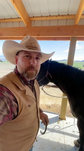 Shoes! #viral #horse