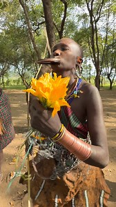 53K views · 267 reactions | Surma women in Ethiopia participate in traditional dances during community celebrations and rituals. These dances are often accompanied by singing, clapping, and drumming, and the young women adorn themselves with body paint, flowers, and natural ornaments, displaying beauty and cultural pride while strengthening group unity. #inspirationofafrica | Quim Fàbregas - Fotografía y Viajes. | Facebook