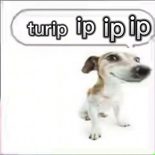 turip ip ip ip #turip
