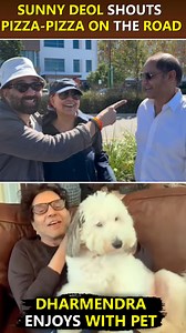 615K views · 17K reactions | Superstar Sunny Deol is on vacation with his parents, Dharmendra and Prakash Kaur, and shared a video from there in which he is shouting Pizza-Pizza on the road. Whereas the veteran actor posted a video of himself enjoying his pet. | Bollywood Now | Facebook