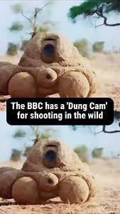 185K views · 14K reactions | The BBC made a poop camera and apparently it even SMELLS the part  : BBC #wildlife #bbc #camera | Mashable | Facebook