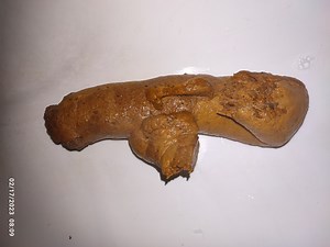 Huge morning poop indian deshi boy