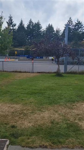 17 reactions | I am at the Duke Point Ferry Terminal from July 9th to 15th. Come and see me on your passage through. #westcoastkitsch | Westcoastkitsch | Facebook