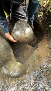 3.2M views · 31K reactions | Super big giant hole very deep containing a huge pile of gold | Gold Discovery Armin | Facebook