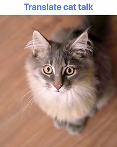 Voice, Text & Photo Translator inside your phone! 🤯💥 | Voice Translator