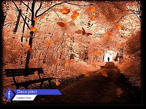 Catalin Crisan - Daca pleci | Dj Uddu