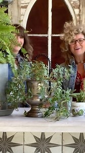 8.7K views · 355 reactions | Quarantine life got ya feeling all cooped up? Try potting some plants in found objects ... or heck, even in just a few bean cans! | Junk Gypsy Company | Facebook