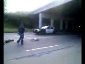 Four Deer Jump off Overpass to their Death in Cleveland, Ohio.