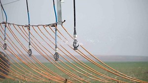 Download close up view of beautiful landscape for free