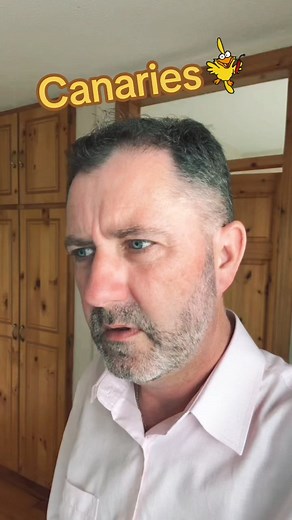 1.1K views · 88 reactions | #canary #island #wink #humour #humor #laugh #funny #haha #irish #ireland #Kilkenny #☘️☘️☘️ #foryou #viral #fypシ #fyp #fp #CapCut | Ciarán McCauley | Facebook