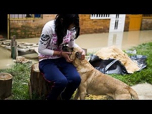women having sex with dogs police warning details in this video