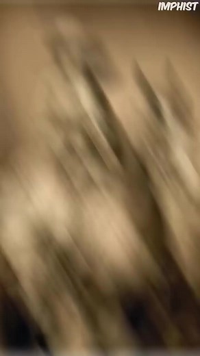 HISTORICAL crazy photos | Part 205 #historyfacts #worldhistory #curiosity #factsonly #topfacts #interestingfacts #learnonfacebook #reel2024 #foryoupageシforyou | De Facto