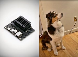 NVIDIA Jetson Edge Artificial Intelligence System Used to Reward Good Dogs