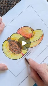 Alicia Colorea on Instagram: "Ahora si, acá está el durazno con crayones. Mezclando colores y usando trazos especiales, logramos que la piel se vea suave y peludita, la carne aparezca deliciosamente jugosa, y la pepa con su rugosidad única. La huella de la semilla en la carne es un detalle que realmente hace que este durazno se destaque. Espero que lo disfruten - Vamos a colorear Aquí está el link para comenzar a colorear: https://www.supercoloring.com/coloring-pages/whole-and-sliced-nectarine.