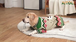 Warm Knit Dog Sweaters for Small Dogs - Male & Female, Halloween & Autumn Themed, Long Legs - Yorkie & Chihuahua