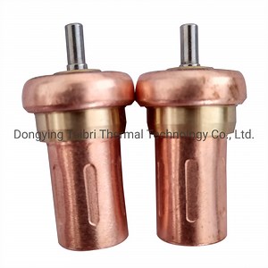 [Hot Item] Replacement Vmc Thermostat Valve Core Opening Temperature 71 Degree