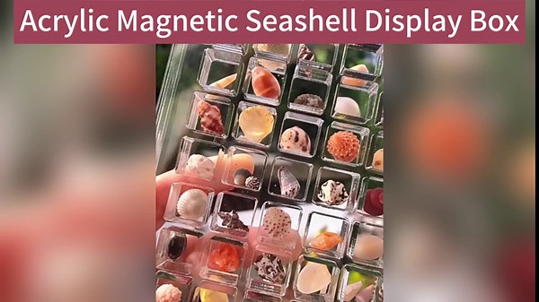 Acrylic Magnetic Seashell Display Box,36/64/100 Grids Clear Acrylic Seashell Display Box,Magnetic Seashell Display Box,Acrylic Magnetic Seashell Box,Clear Acrylic Sea Shell Storage Box (64Grids,2pc)